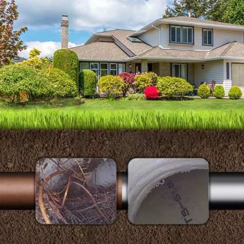Fast Gumdale Drain & Sewer Plumbers