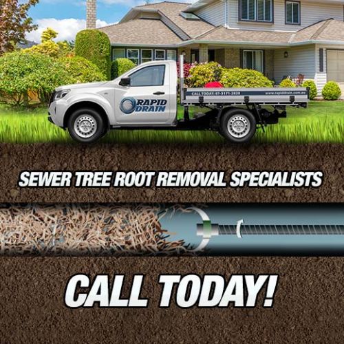 Sewer Tree Root Removal Specialists In Gumdale